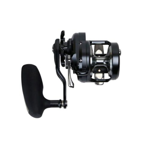 Shimano Ocea Jigger F Custom