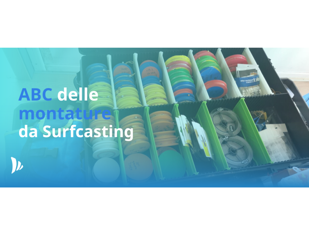 Cari amici, dopo il successo del primo articolo "Che cos'è il Surf Casting", in questo nuovo articolo intitolato " ABC delle montature per il Surfcasting " parleremo di montature cercando di darvi quella che è la definizione più giusta per noi.