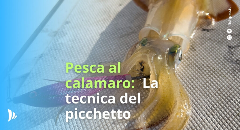 tecnica di pesca dalla barca al calamaro in verticale