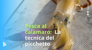 tecnica di pesca dalla barca al calamaro in verticale