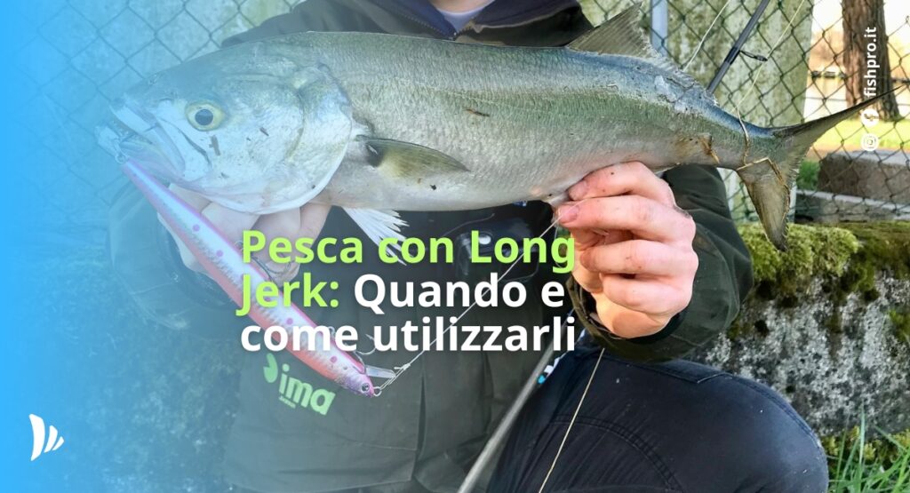 articolo di blog per la pesca con long jerk