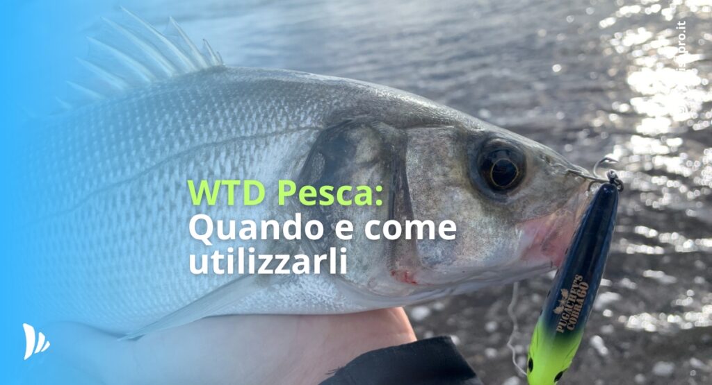 articolo di blog per la pesca a wtd