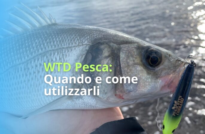 articolo di blog per la pesca a wtd