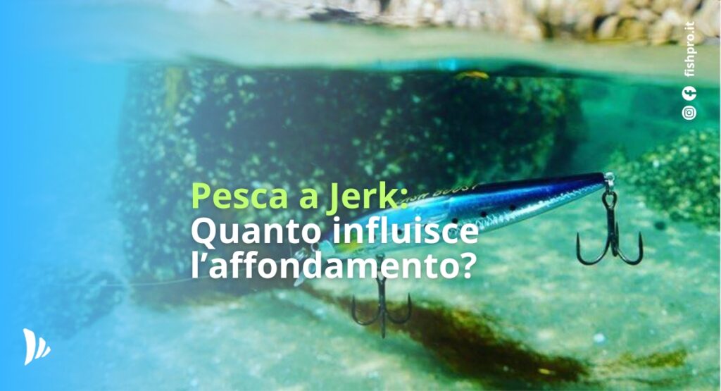 articolo di blog sulla pesca a jerk