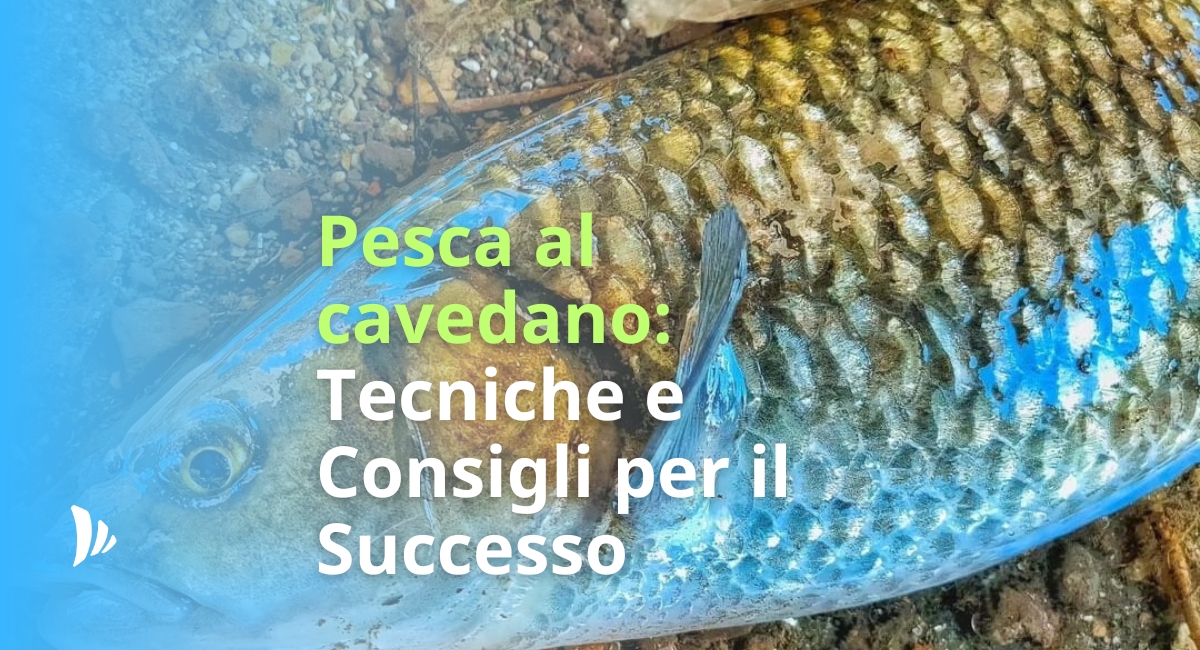 Pesca al cavedano Tecniche e Consigli per il Successo
