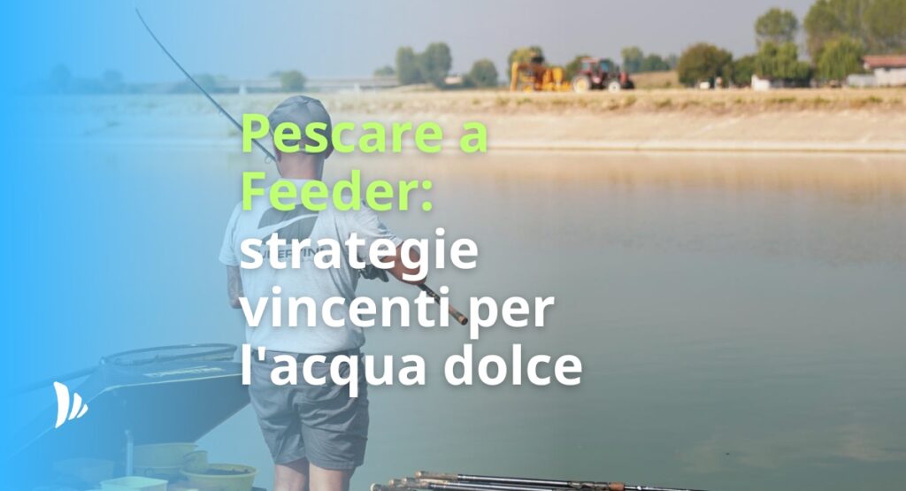 Pescare a Feeder: strategie vincenti per l'acqua dolce