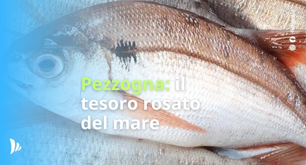 Pezzogna: il tesoro rosato del mare Pezzogna: il tesoro rosato del mare