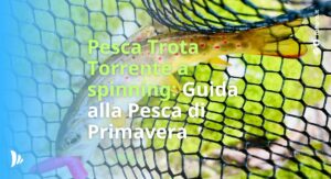 Pesca Trota Torrente a spinning: guida alla Pesca di Primavera