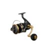 Daiwa BG SW 2