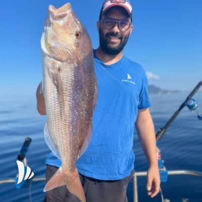 pesca dentice a traina col vivo 