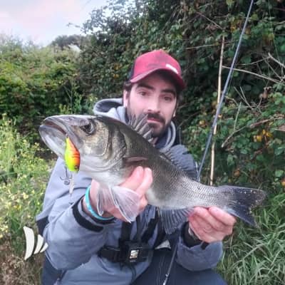 pesca della spigola a spinning 