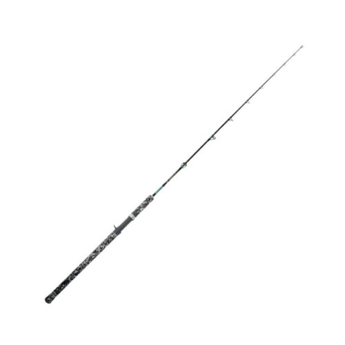 CJBNSC21