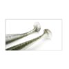 keitech easy shiner