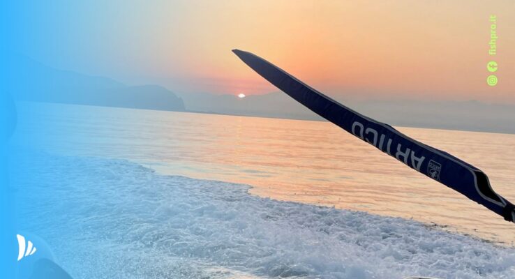migliori-canne-per-la-pesca-a-traina