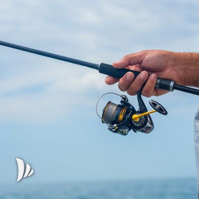 attrezzatura per andare pescare 