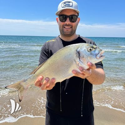 attrezzatura per pescare 