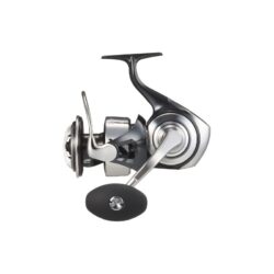 Nuovo Daiwa certate sw 2026