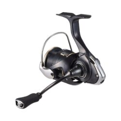 freams lt 2026 posteriore