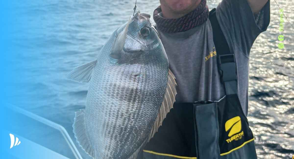 guida alla pesca alla tanuta