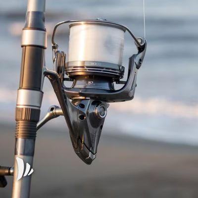 pescare a surfcasting