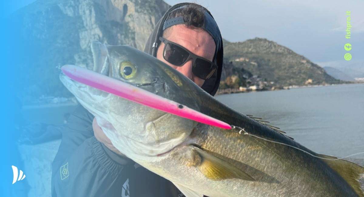 spinning al pesce serra guida